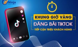 khung giờ đăng tiktok hiệu quả