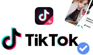 cách lên tích xanh tiktok