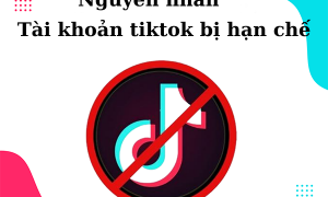 Tại sao tài khoản Tiktok bị hạn chế